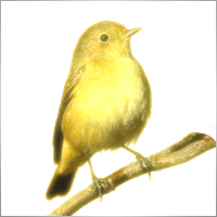 SunYourWay