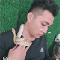 tronghamc11111