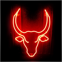 NeonBull