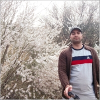 hossein71
