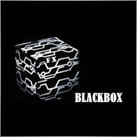 blackboxfxalgo