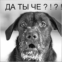 sergo30rus