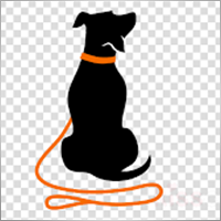 Canidae
