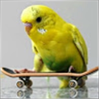 ChristianKfoury8