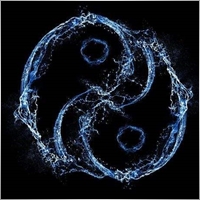 55628914-qq