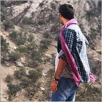 mh_fatemian