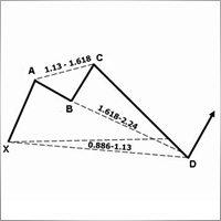 ipaki
