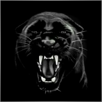 JAGUARCOSMIC