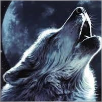 TheGrimReaperzzz11