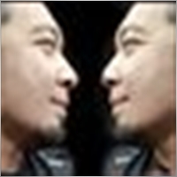 norrizam1