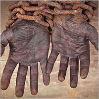 son_ofthe_soil