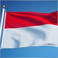 RimbaArifgun