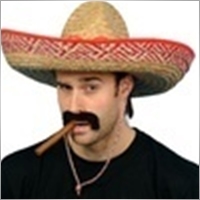 Mr.PolWal