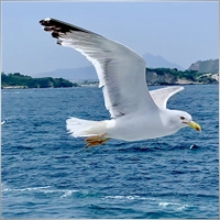 rene.wicke-googlemail