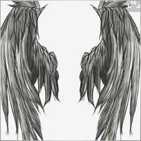 dng274