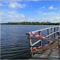 rolanlan