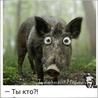 novikovba