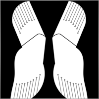 Markshenshixing