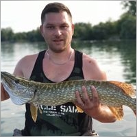 moldovancorneldaniel-yahoo