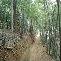 jmzhumin