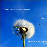 jordilorence-gmail