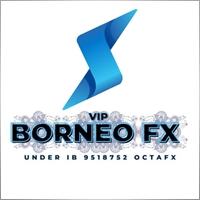 borneoforex2nd