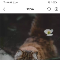 271321015