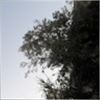 zaki123222