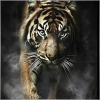 Ramzi2019