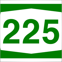 Lady225
