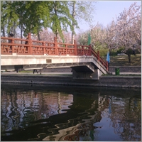 baihongzhi