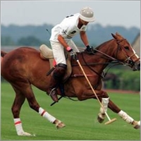 walterpolo2000