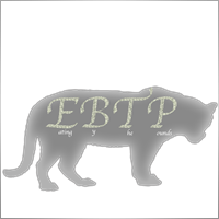 MY_FSB