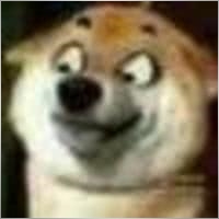 chikintrader