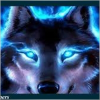 lonewolftrading22