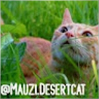 MauziCat