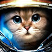 DrKot2022