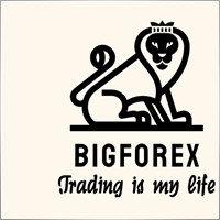 bigforex136