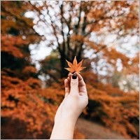 buivankhanh007-gmail