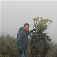 gerson3366