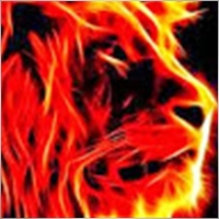 lionsxion