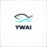 YwaiAqua