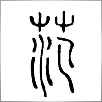 13851498277