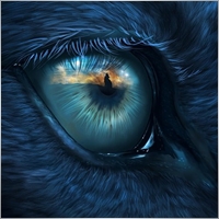 JCFX_BlueEye