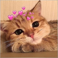 10136766