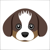 thietkewebvip