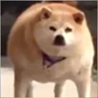 1145786
