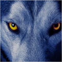 Franciscoalvarezramirez