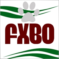 FXBO