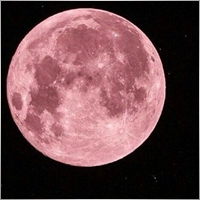 pinkmoon